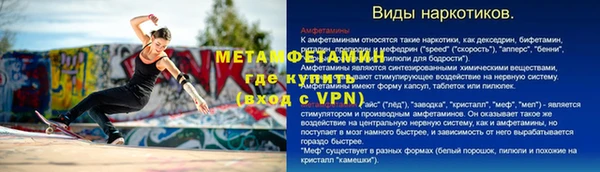 ГАЛЛЮЦИНОГЕННЫЕ ГРИБЫ Бородино
