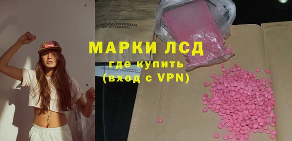 ГАЛЛЮЦИНОГЕННЫЕ ГРИБЫ Бородино