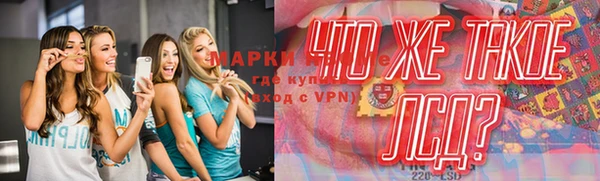 ГАЛЛЮЦИНОГЕННЫЕ ГРИБЫ Бородино