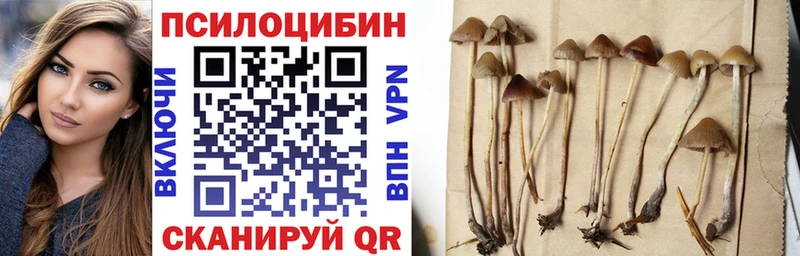 где купить   Бугульма  Галлюциногенные грибы MAGIC MUSHROOMS 